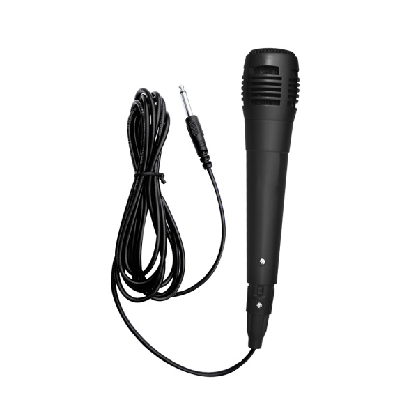 Rancore RS880R Ηχείο με λειτουργία Karaoke - Image 2